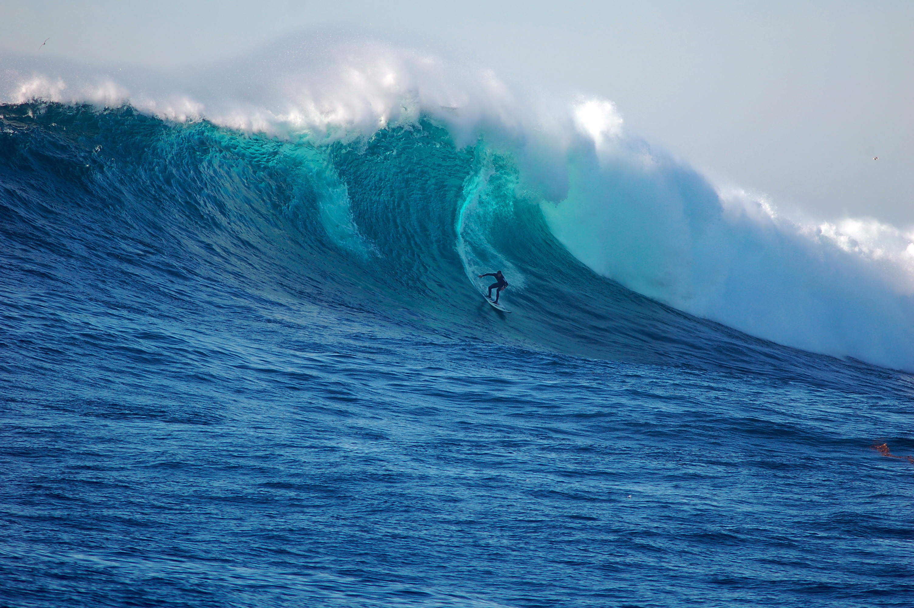 Какие сейчас волны. Тихий океан волны ЦУНАМИ. Волна Джоуз. Огромные волны. Высокие волны.