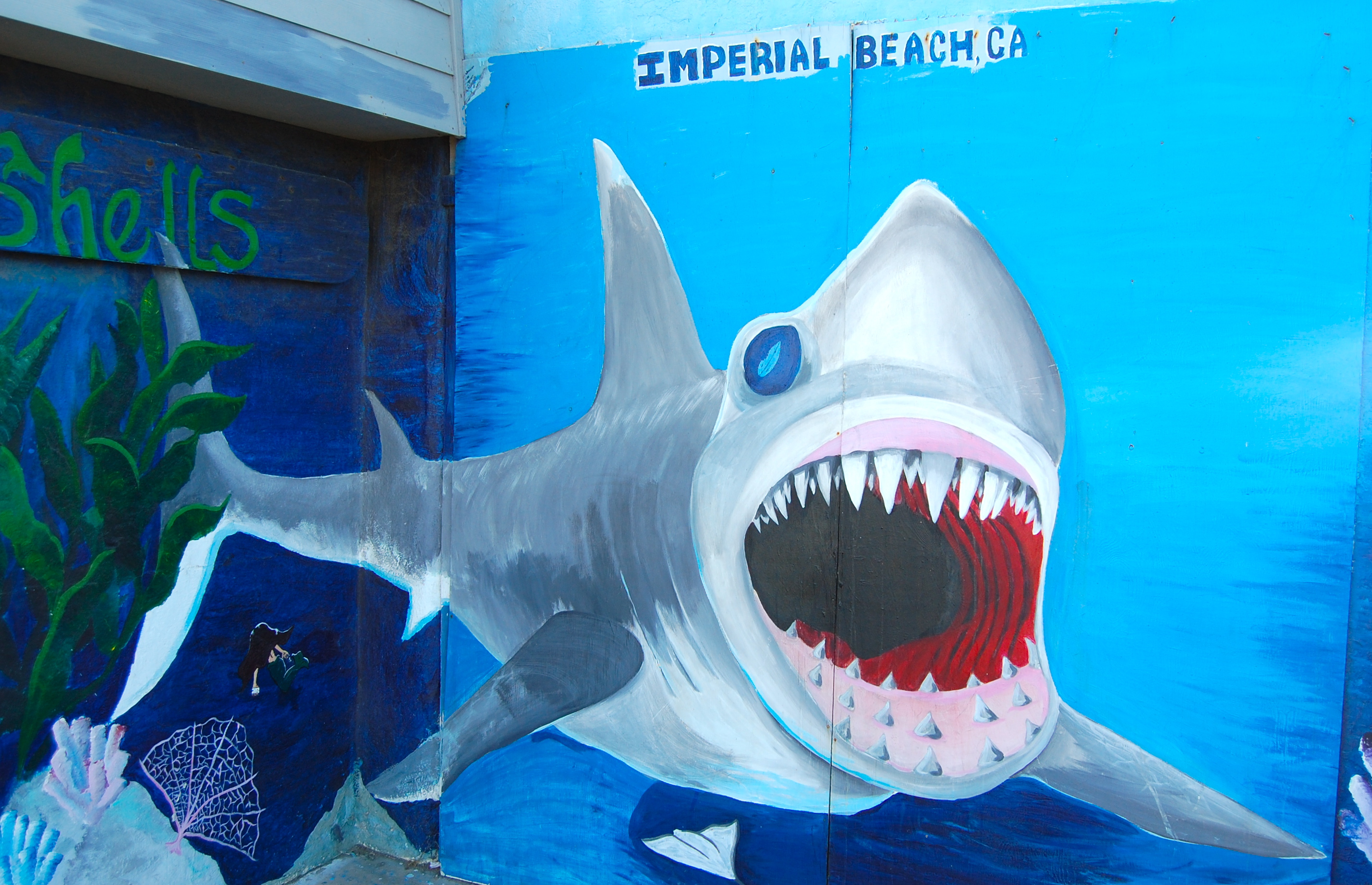 Bibbey's Shell Shop is an IB landmark and this shark is a favorite photo stop for tourists and locals. 